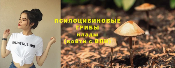 мескалин Бронницы