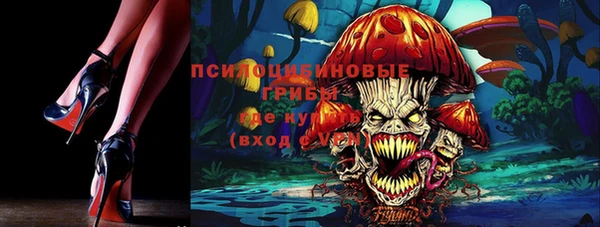марки nbome Бородино